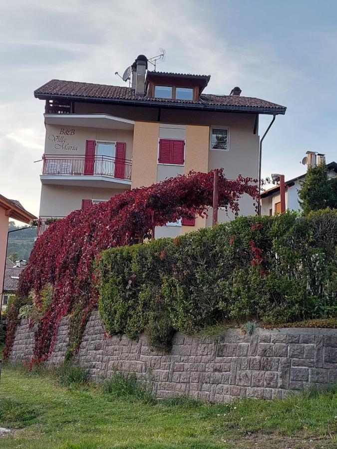 Bed & Breakfast Villa Maria Cavalese Exteriér fotografie